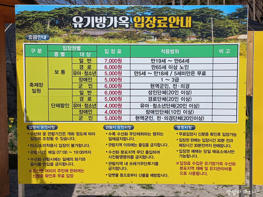 봄 축제 가볼만한곳: 서산유기방가옥 수선화 축제