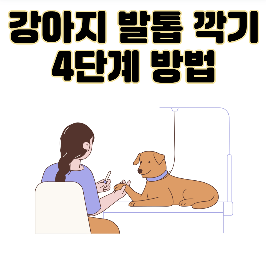 강아지 발톱 자르기 깍기 방법 및 주의사항