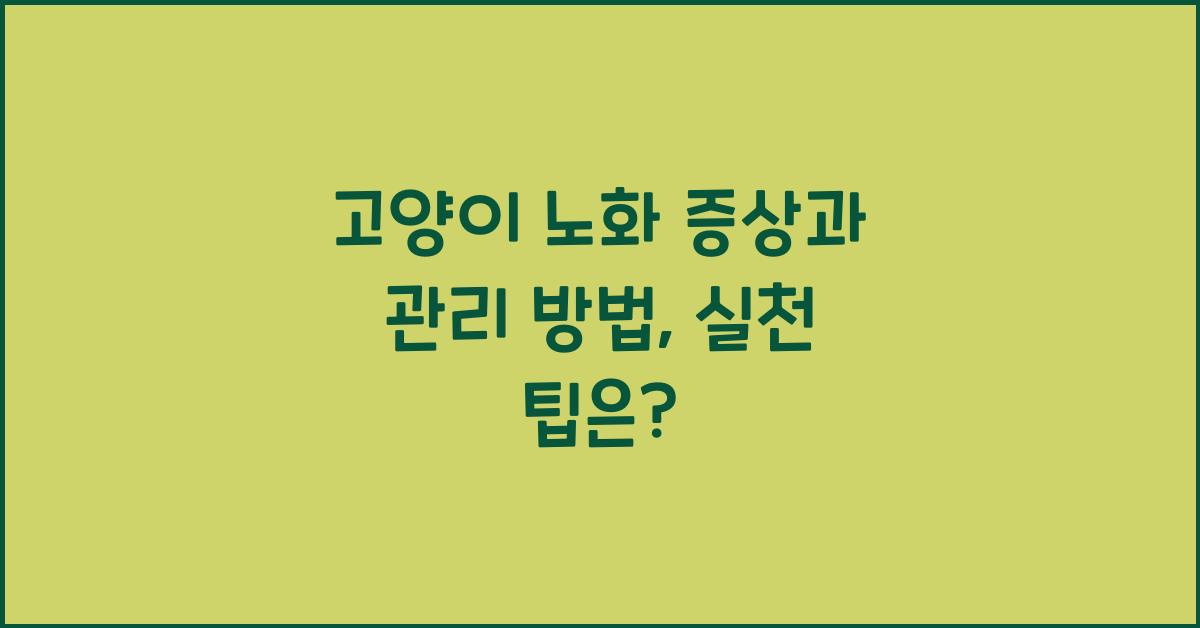 고양이 노화 증상과 관리 방법