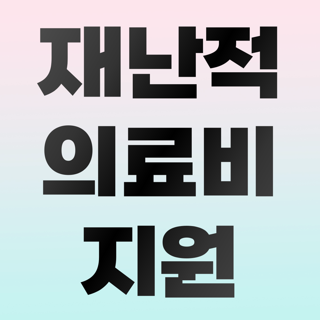 재난적 의료비 지원