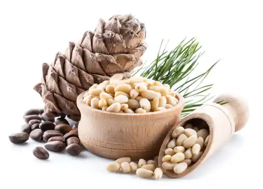 잣 효능효과 영양성분, 먹을 때 주의점