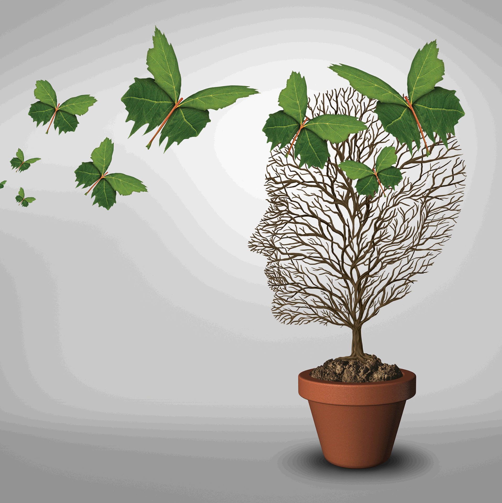 심리학 발전 두뇌 나비