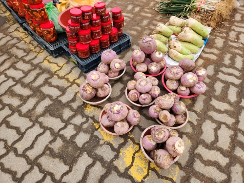 강화 풍물시장 순무