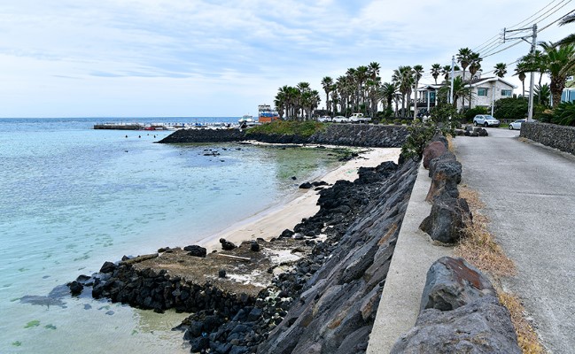 제주 비자림과 조천바다 전경