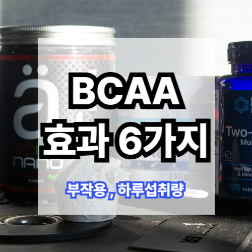 BCAA 종류