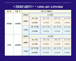 스트레스 DSR 도입 임박