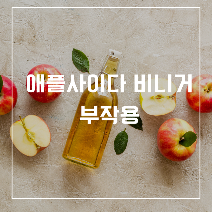 애플 사이다 비니거