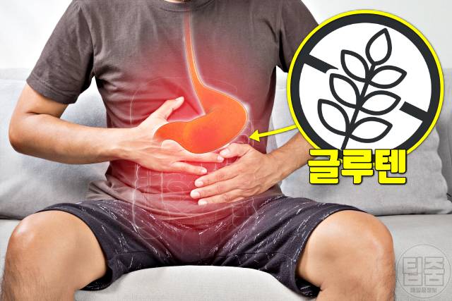 밀가루 끊기 효과 밀가루끊기 한달 속편함