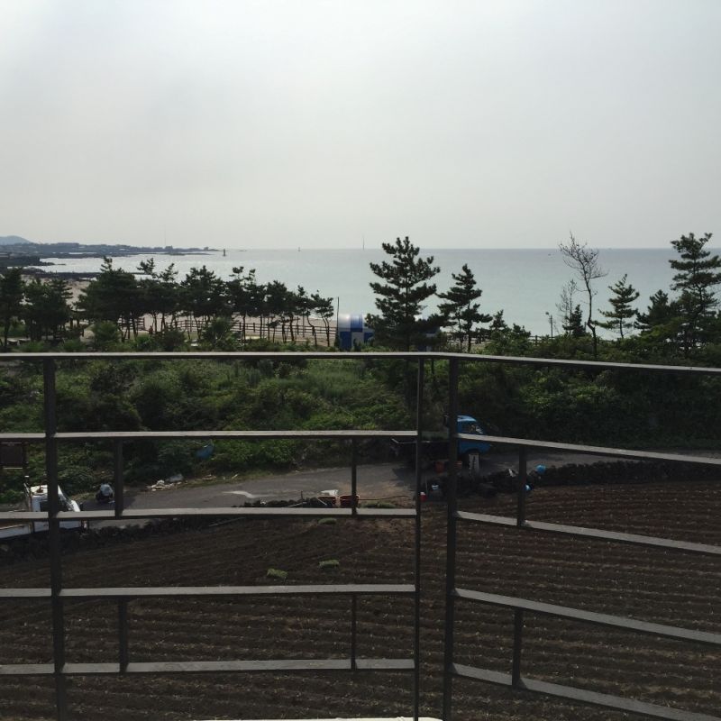 제주 한달살기 곽지 숙소에서 본 뷰