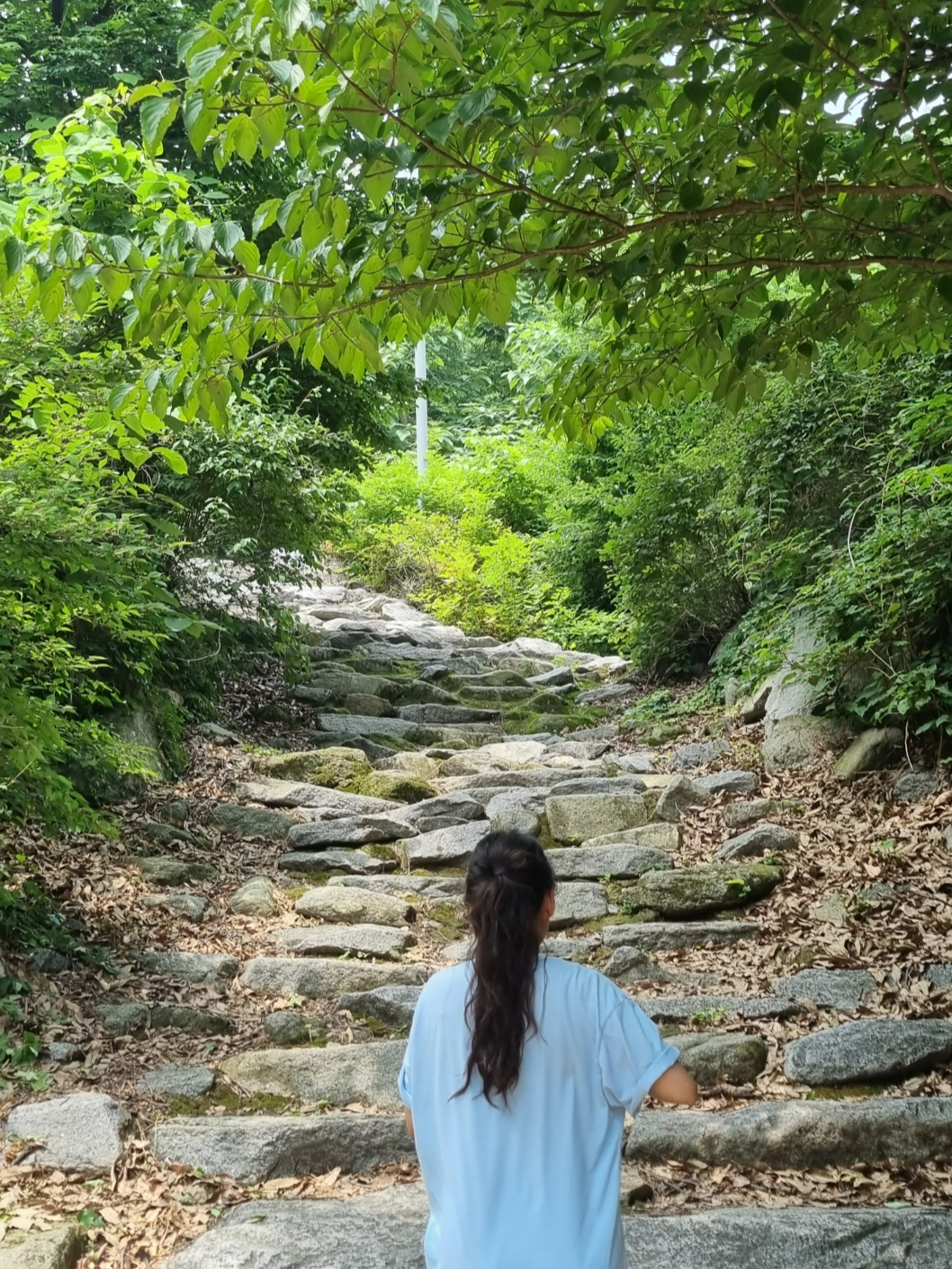 함허동천_계단길