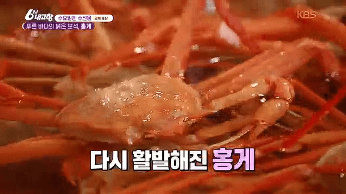 포항 구룡포 ‘게좋은강룡호&강룡수산’ 홍게