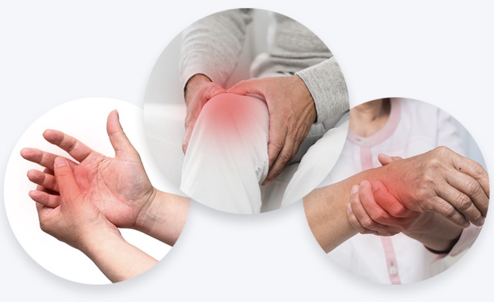 콘드로이친-효능