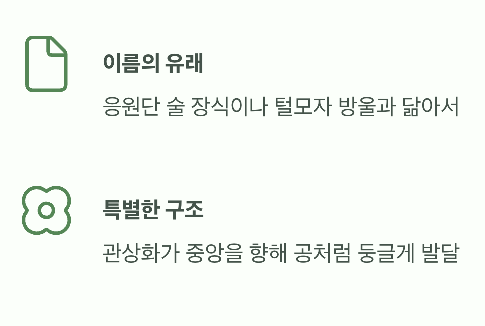 폼폼, 이름 속에 담긴 비밀