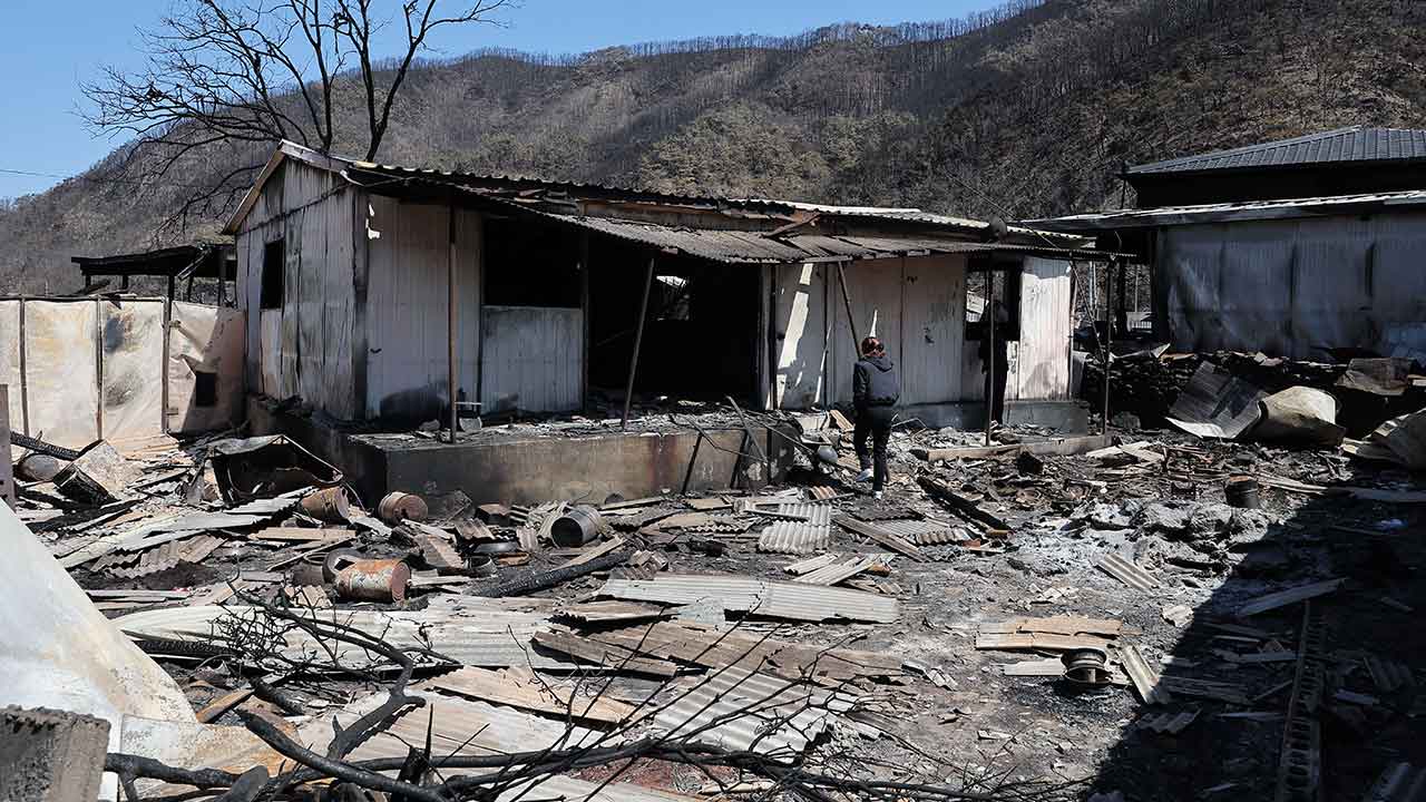 산불 피해 이재민을 위한 긴급지원주택 신청 날짜&amp;#44; 신청 방법