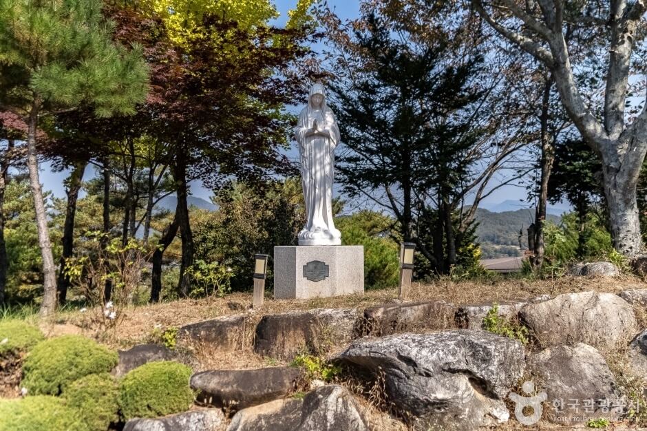 성필립보생태마을 생태맘 청국장 가루 주문