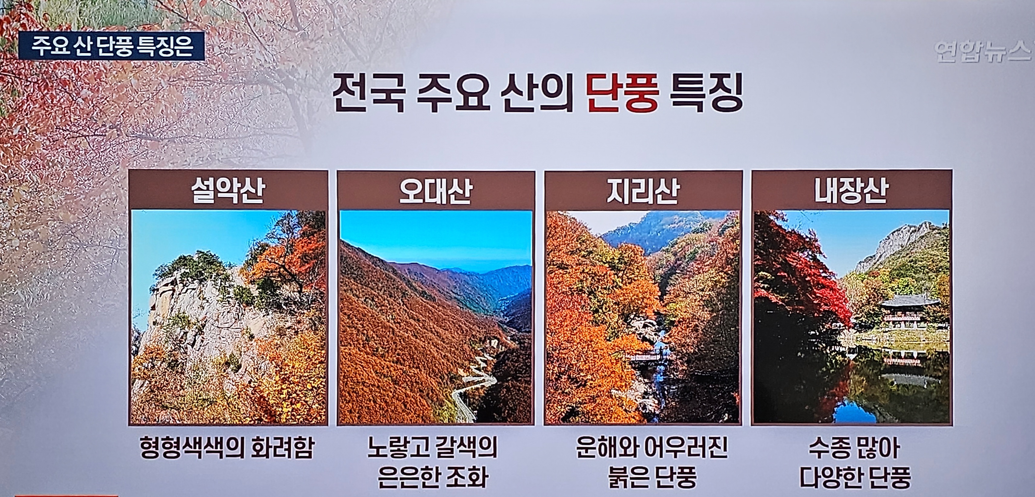 전국 주요 산의 단풍 특징 (연합뉴스 제공)