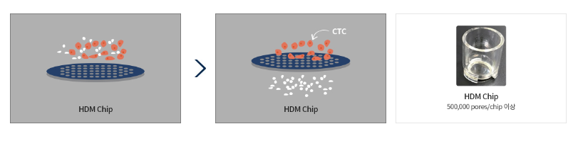 고밀도 미세공 칩-사진