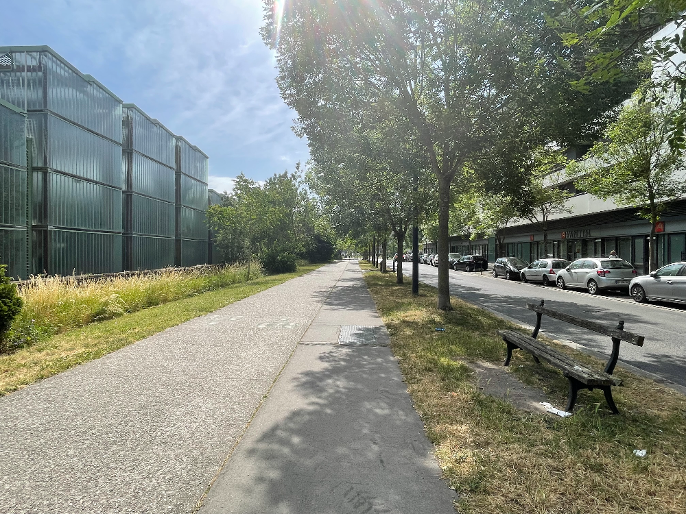 보르도 식물원 - 10번 근처 온실3