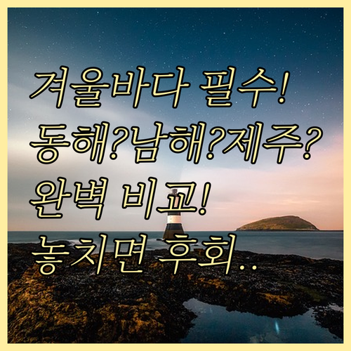 후회 없는 겨울 바다 여행 동해 남해..