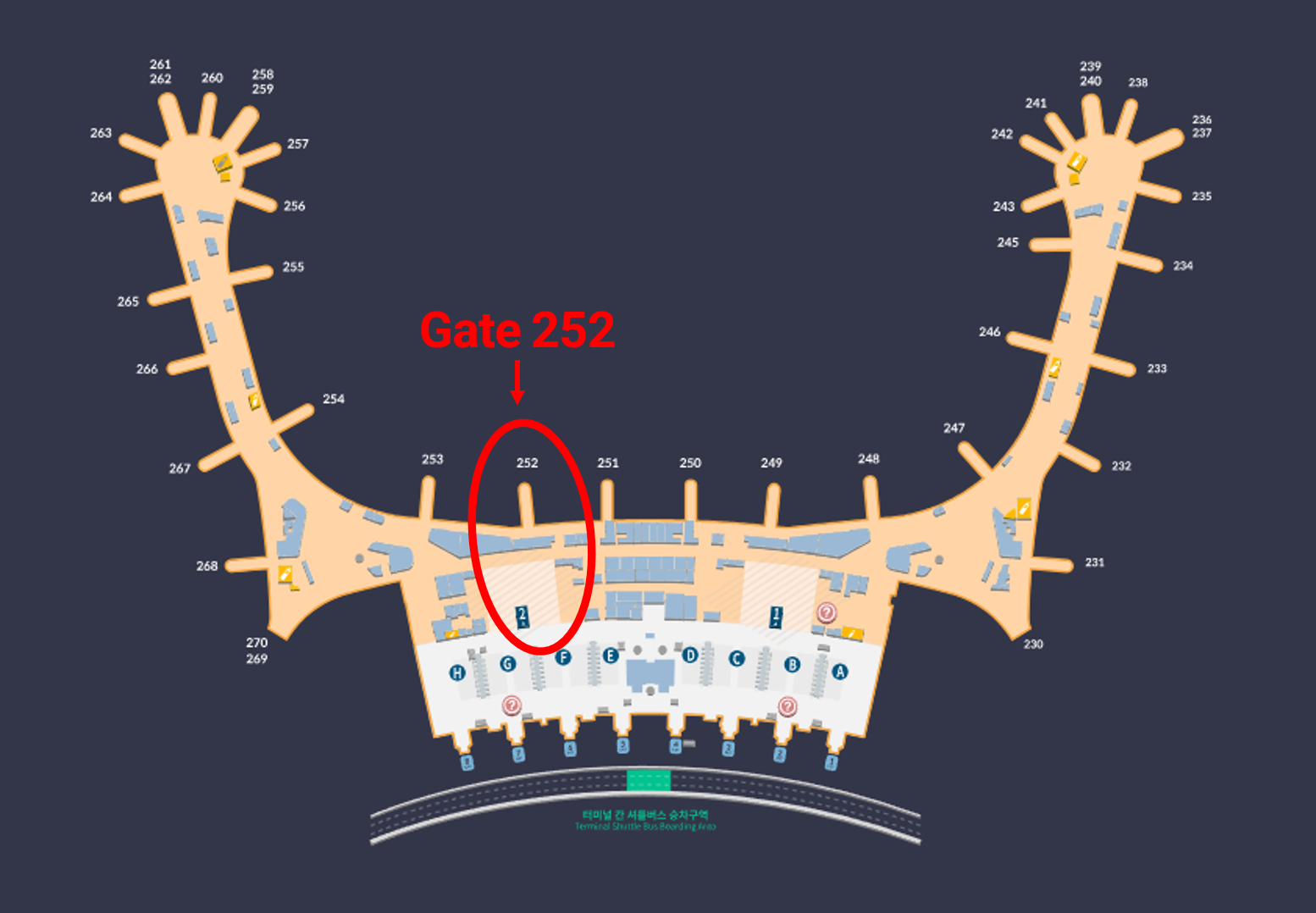 마티나 라운지 위치
