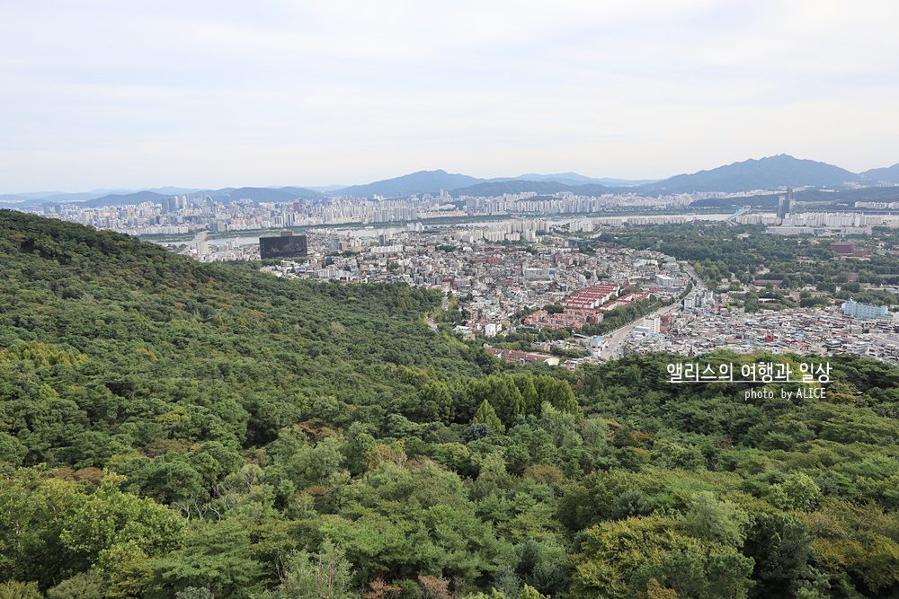 N서울타워 전망대에서 보는 서울전경, 입장권 최저가 예약방법, 대중교통(남산 순환버스) 서울 가볼만한곳