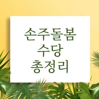 손주 돌보는 조부모 돌봄수당 2025년 지원금_7