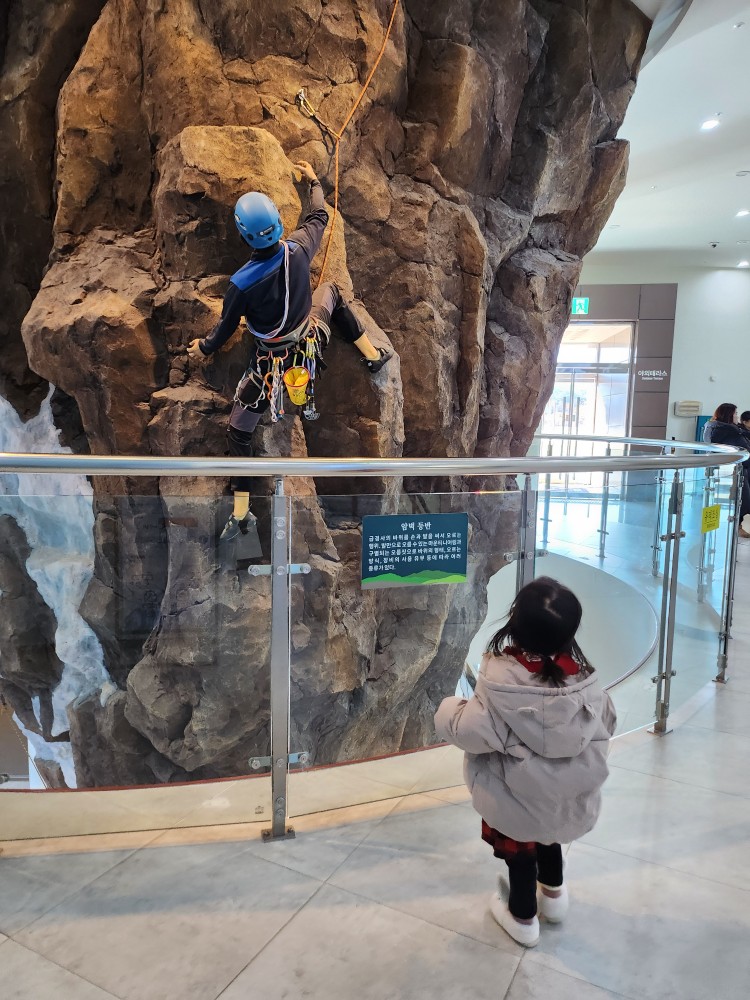 암벽등반을 구경하는 아이