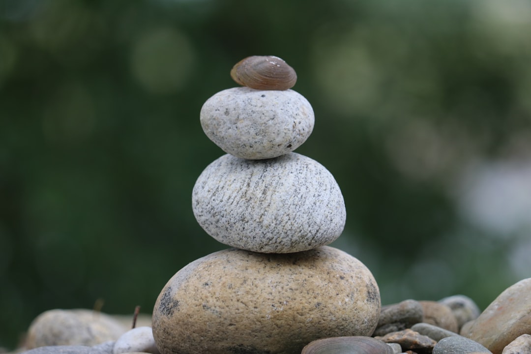 Rebalance