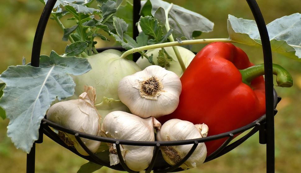 혈액 순환 잘되게 하는 방법(생활습관, 음식, 실천방법)