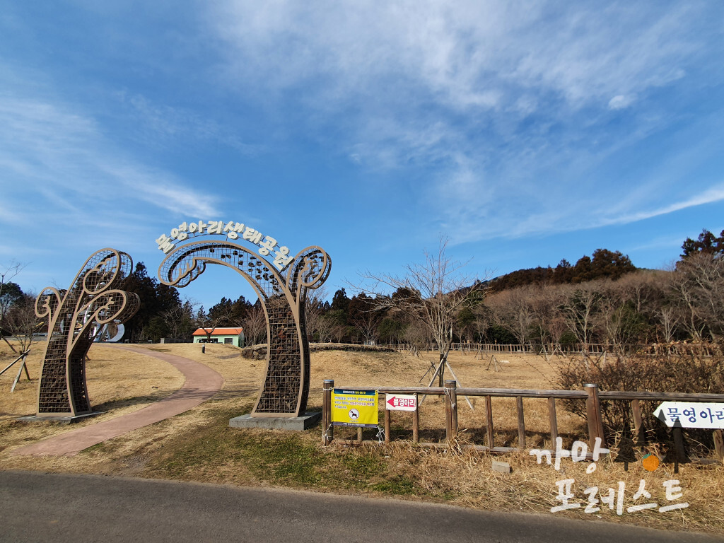 물영아리 오름 생태공원