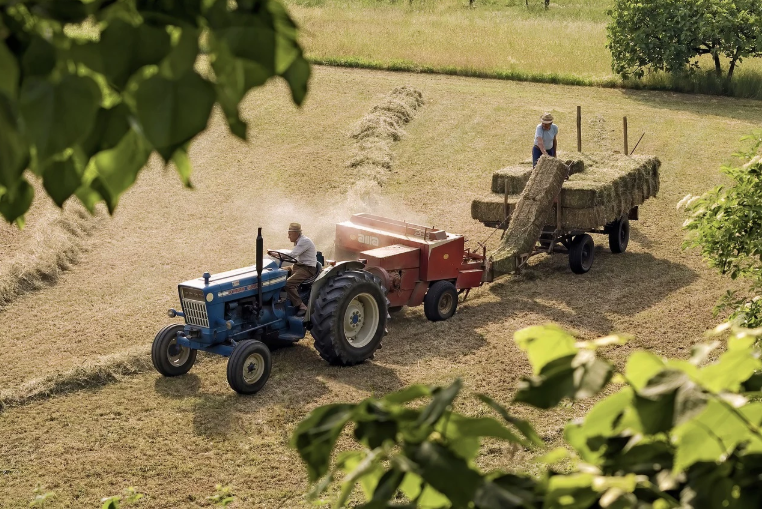 충청남도의 농촌 체험 여행: 농촌에서의 하루 살기 체험