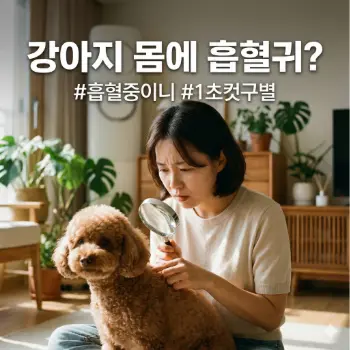 * 이미지 프롬프트: 따뜻하고 밝은 자연광이 드는 거실, 30대 한국인 여성이 걱정스럽고 심각한 표정으로 자신의 반려견(예: 갈색 푸들)의 털을 조심스럽게 헤치며 피부에 난 작은 혹을 자세히 들여다보고 있다. 한 손에는 돋보기를 들고 있을 수도 있다. 강아지는 영문을 모르는 순진한 표정. 부드러운 필름 그레인이 느껴지는 따뜻한 색감의 아날로그 사진 스타일.

* 썸네일 텍스트(제목): 강아지 몸에 흡혈귀?
* 해시태그: #흡혈중이니 #1초컷구별