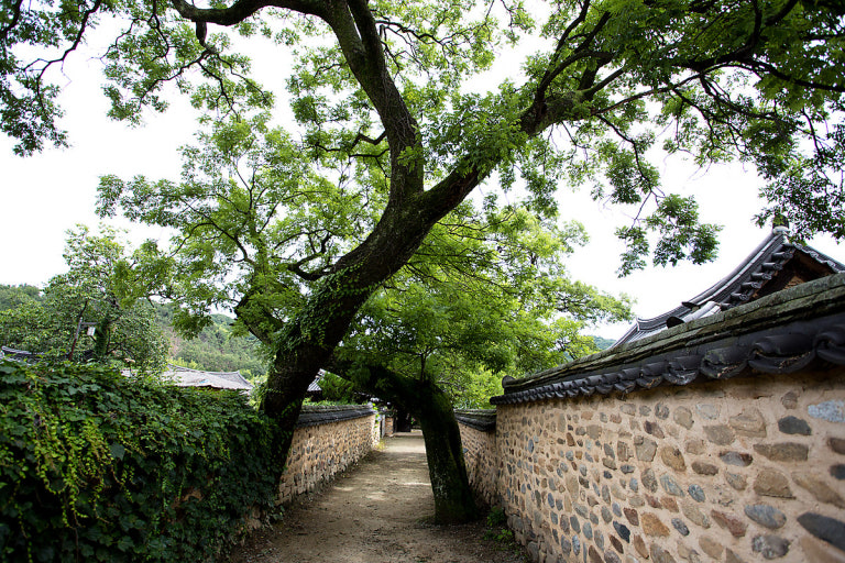 산청 남사예담촌