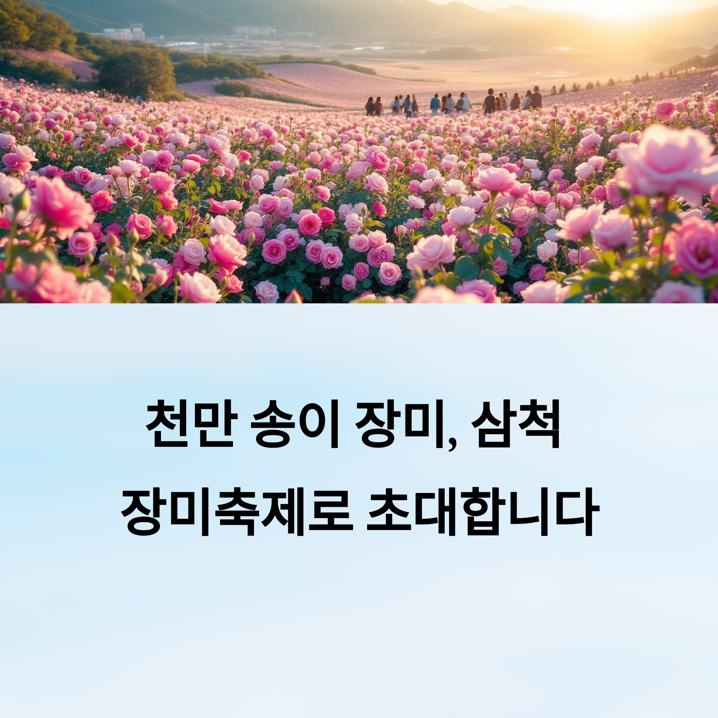 2025 삼척 장미축제 가이드