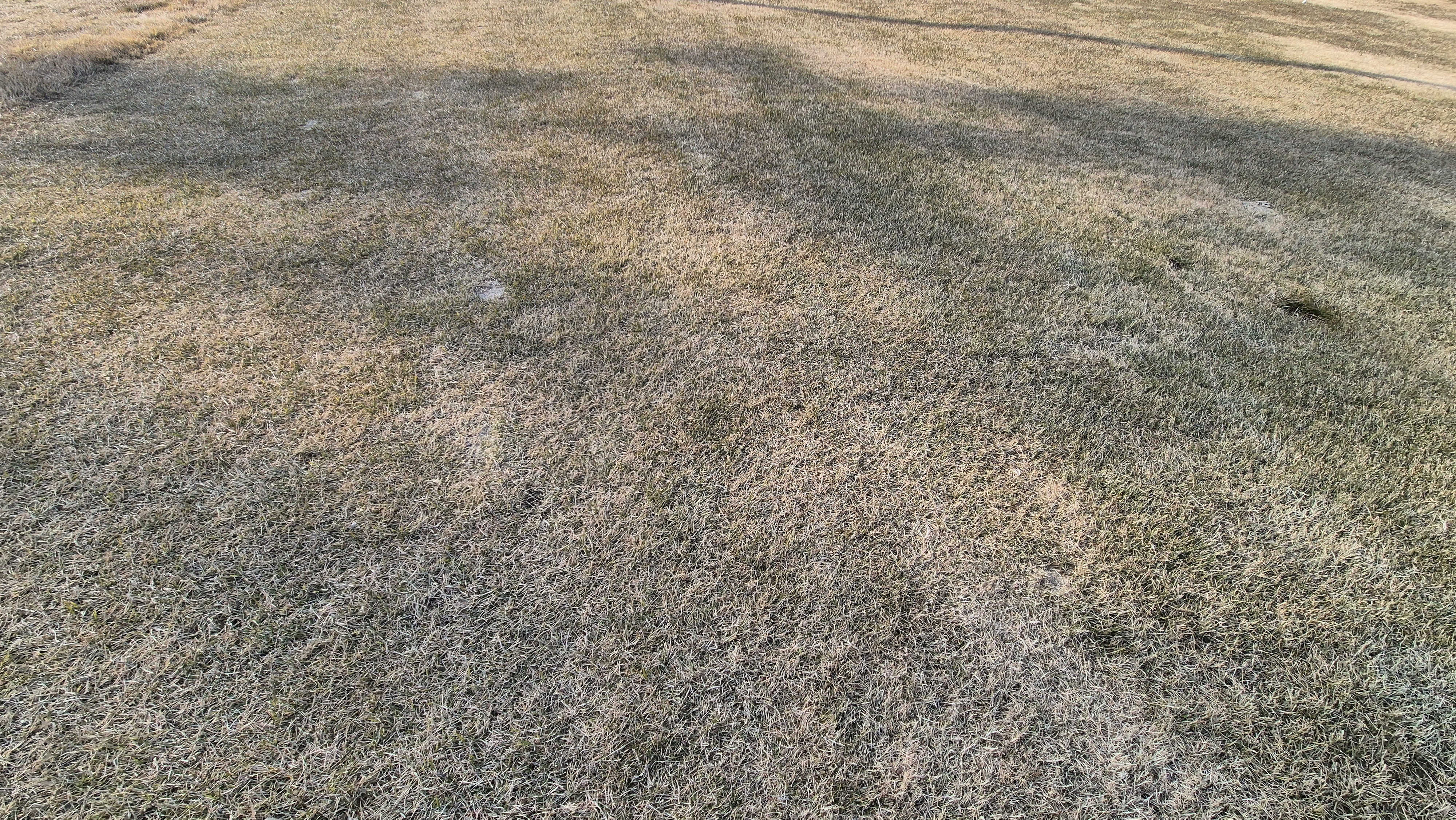 힐데스하임 레이크-힐 코스 코스 관리 상태