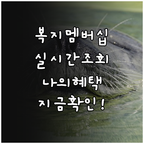 복지멤버십 맞춤형 급여 안내 신청 현..