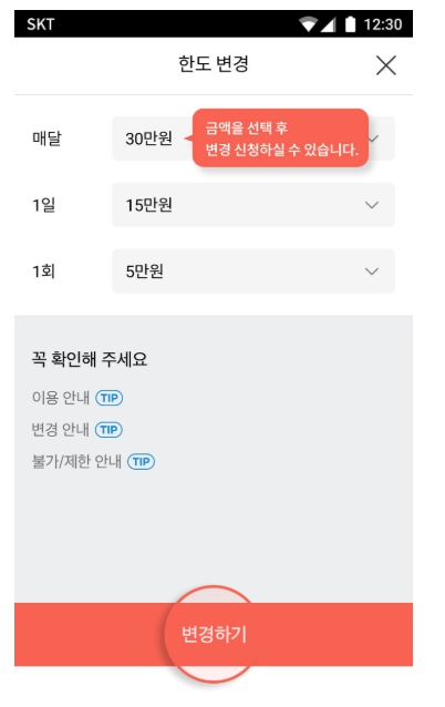 소액결제 사용내역확인