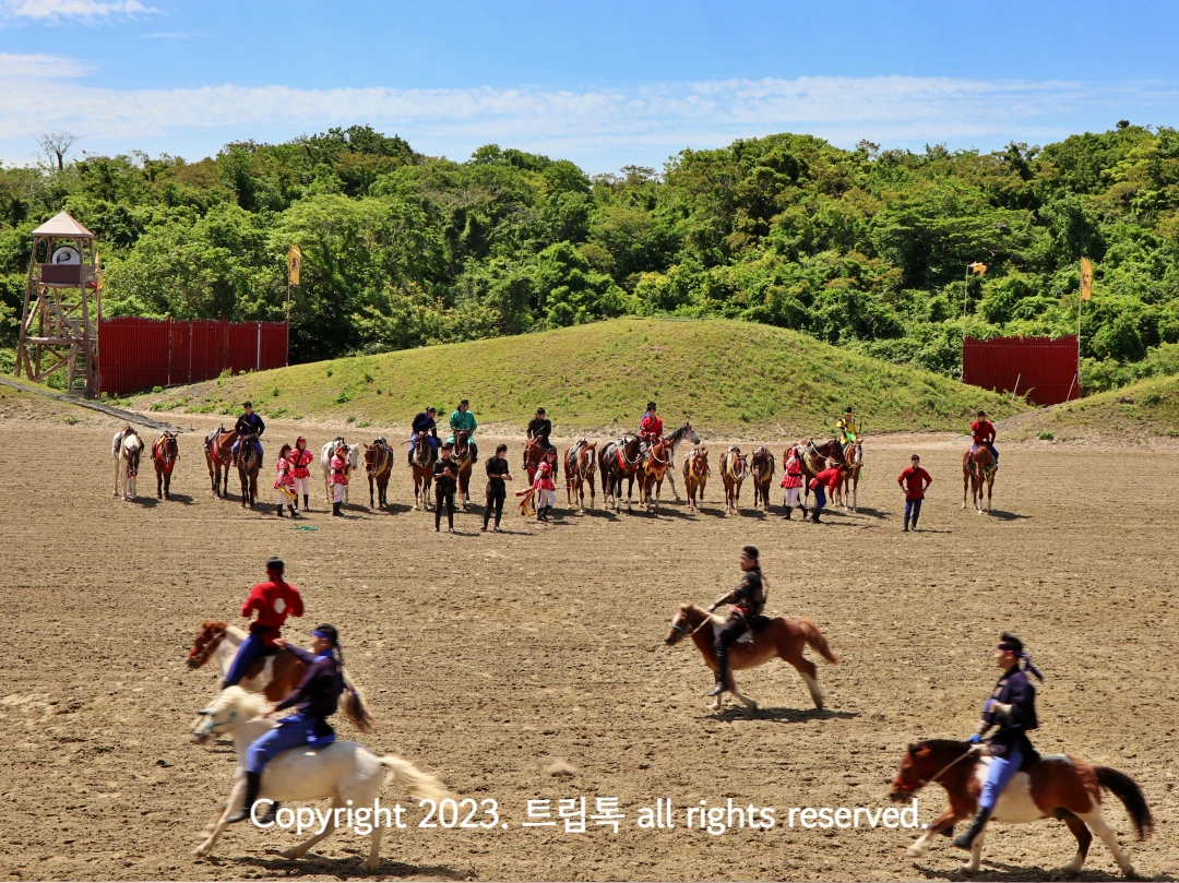 4마리의 말이 빠른 속도로 달린다