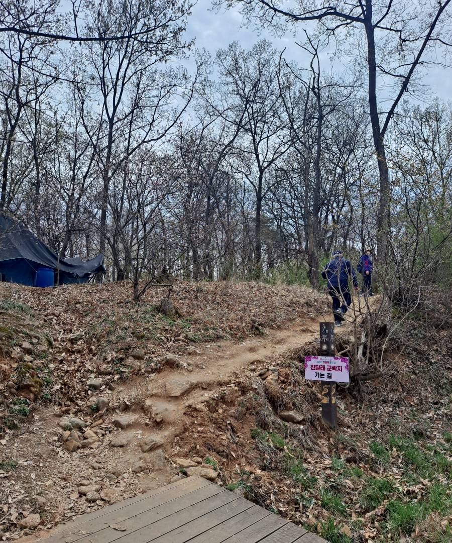 진달래 군락지 가는 숲길