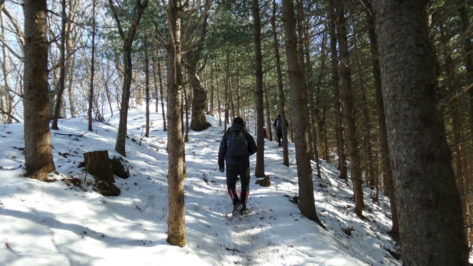100대 명산 등산하기 여섯번째 작지만 하얗고 순수한 산 언제 올라가도 다시 가고 싶은 산 소백산