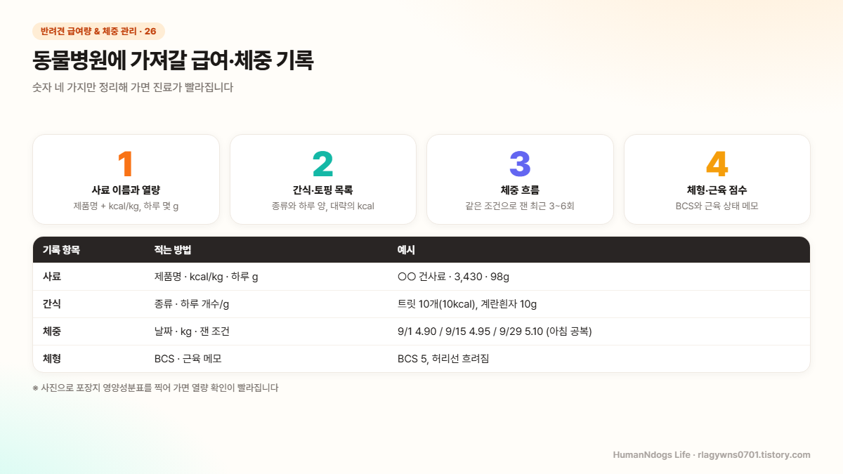 동물병원에 가져갈 급여·체중 기록 도식 — 사료, 간식, 체중 흐름, 체형 네 가지
