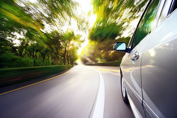 815-광복절-특사-음주운전-조회