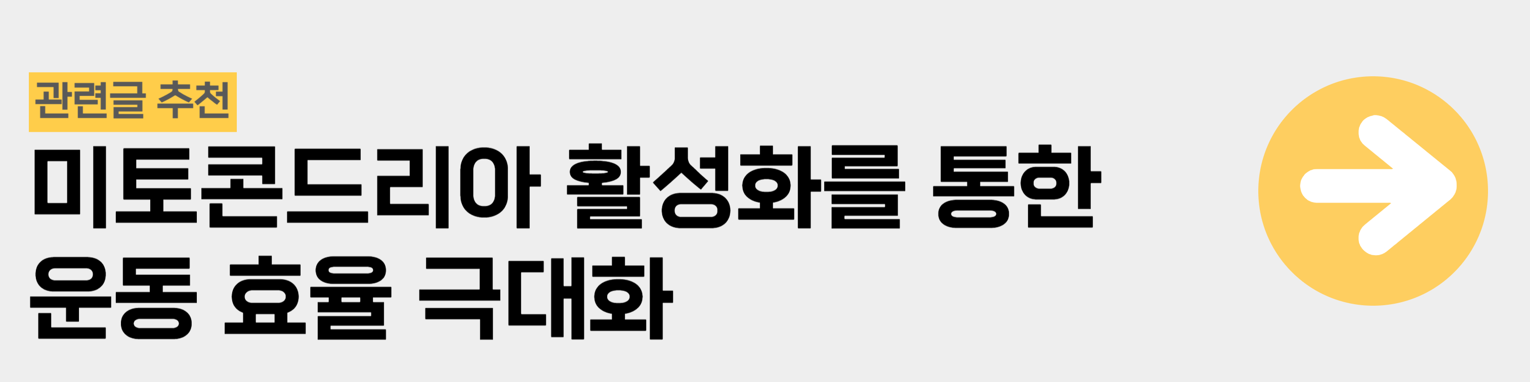 미토콘드리아 활성 운동효율 극대화