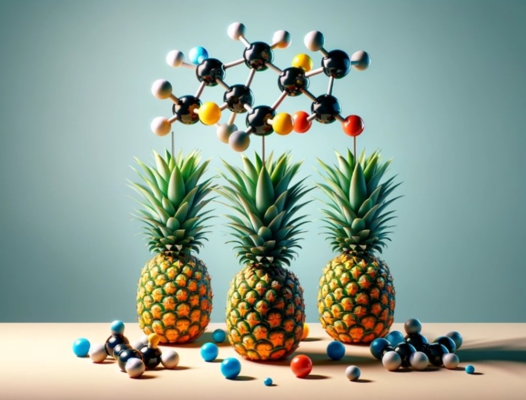 효소 추천 구매 팁 파인애플 효소 체질 개선 붓기 제거 다이어트 도움