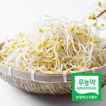 콩나물 재배 콩 불리기 온도 유지 깨끗한 세척_4