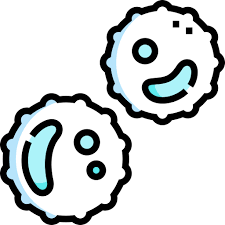 백혈구 정상수치 