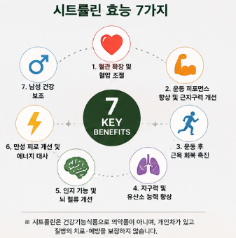 시트룰린-효능-다이어트-내돈내산-효과-추천