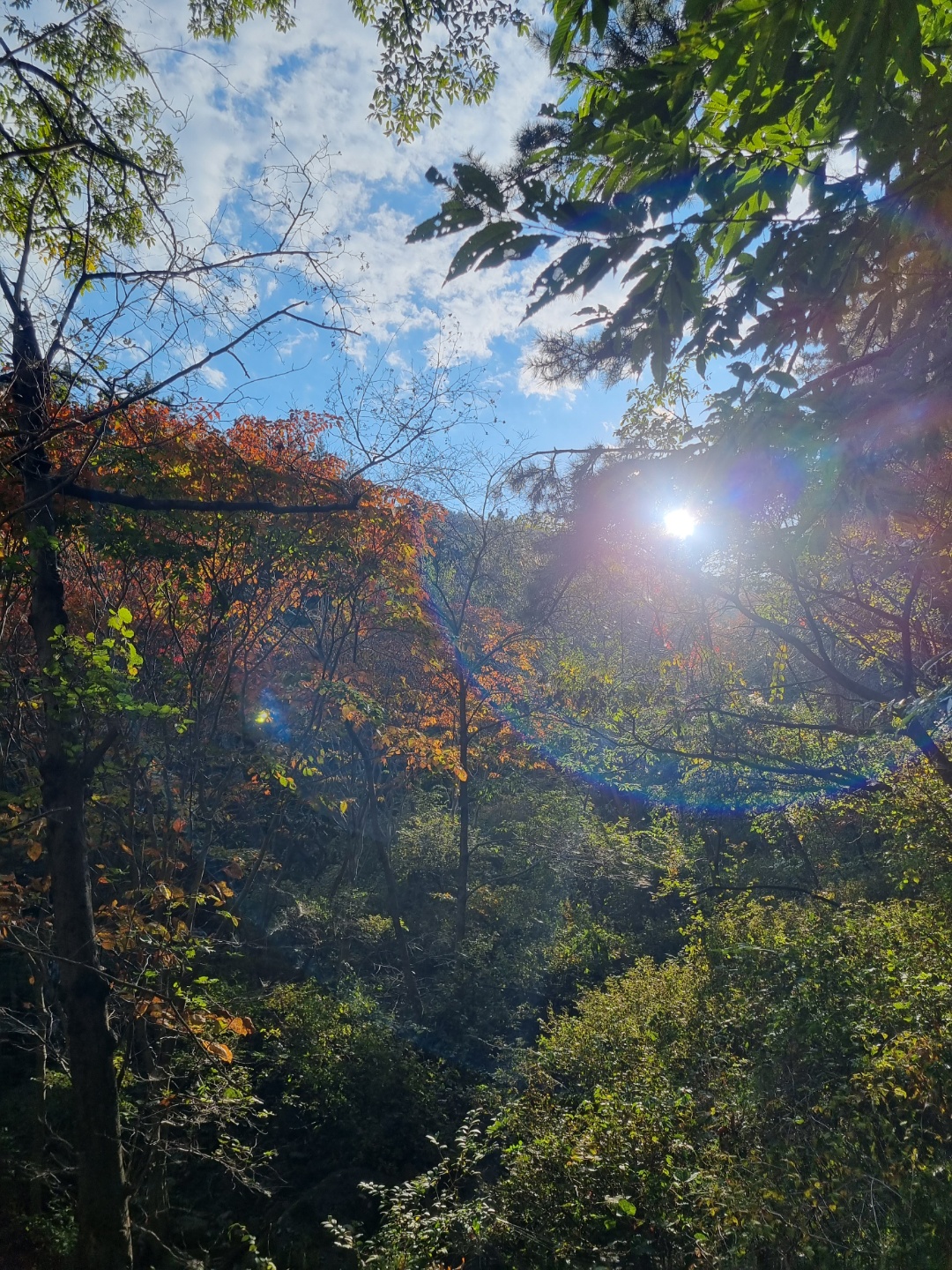 무학산