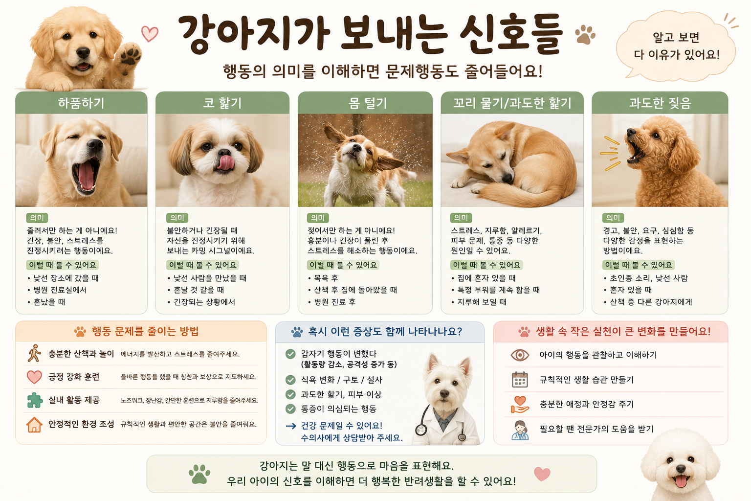 강아지 행동