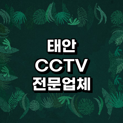 태안군 cctv
